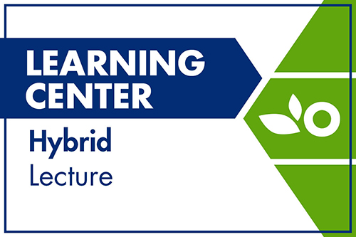 Web-Learning-Hybrid-Lecture-graphic